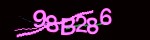 show_captcha