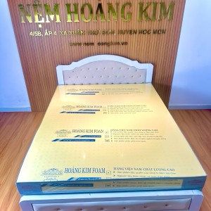 NỆM HOẠT TÍNH HOÀNG KIM FOAM